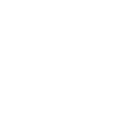 ARAG icon